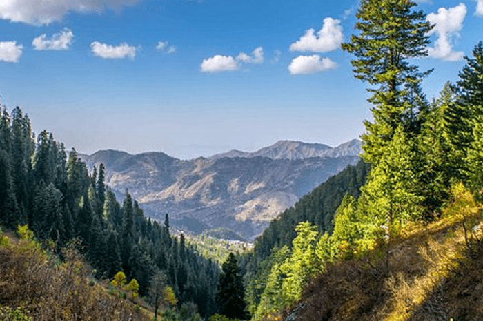 Paradise Point Nathia Gali Attractions Things to do in
